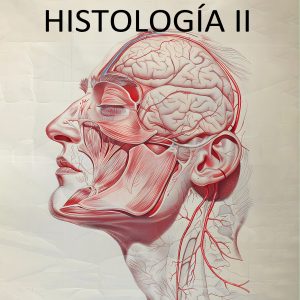 Histología humana II (2025)